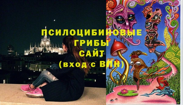 тгк Белокуриха