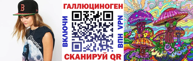 мега как войти  Луза  Псилоцибиновые грибы Psilocybe  закладка 